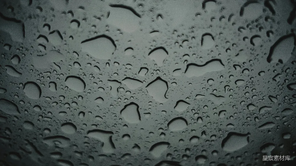 高清摄影 雨滴 自然纹理 细节美 雨季 自然摄影 雨滴特写：自然与纹理的完美结合