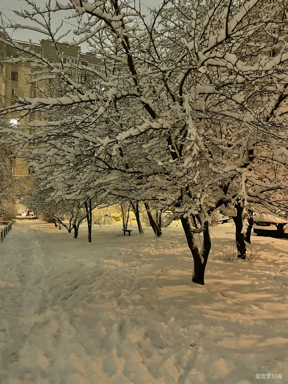 高清摄影 雪景 宁静 冬季 自然 公园 雪后的宁静公园