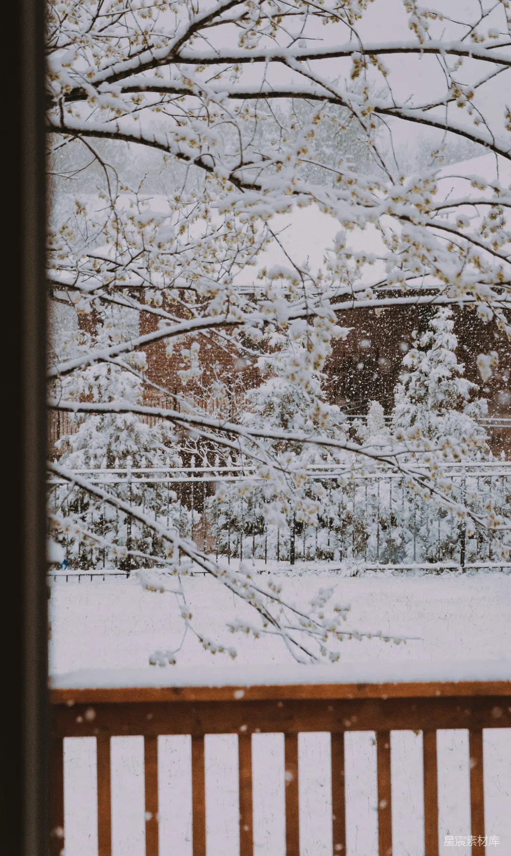 高清摄影 冬季 雪景 窗外 自然 宁静 冬日窗景：窗外的雪景