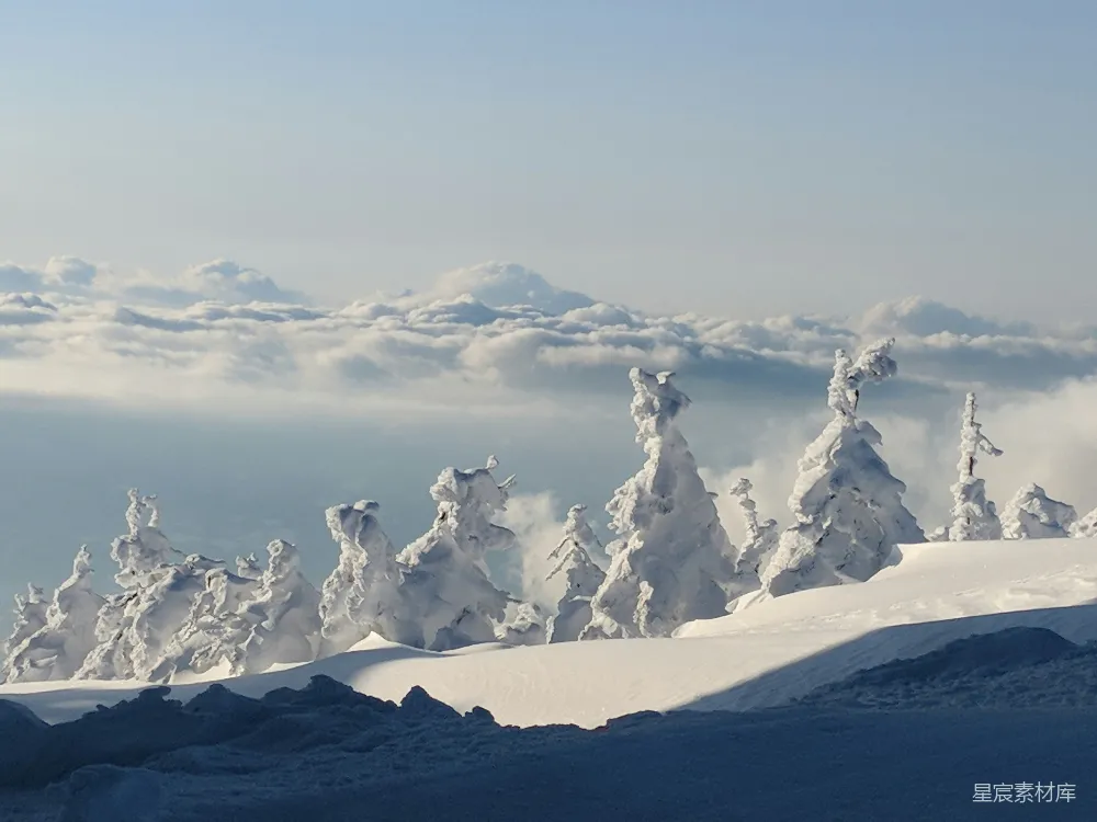 高清摄影 雪景 自然风光 冬季 云层 宁静 雪中树影与云海