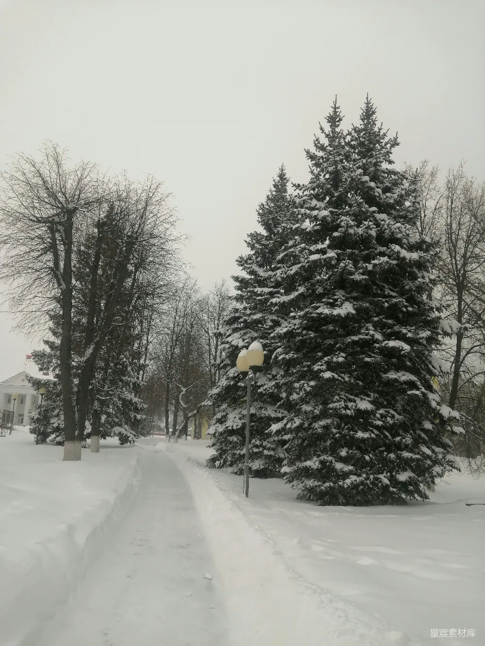 高清摄影 雪景 冬季 小路 自然 宁静 雪后的宁静小径