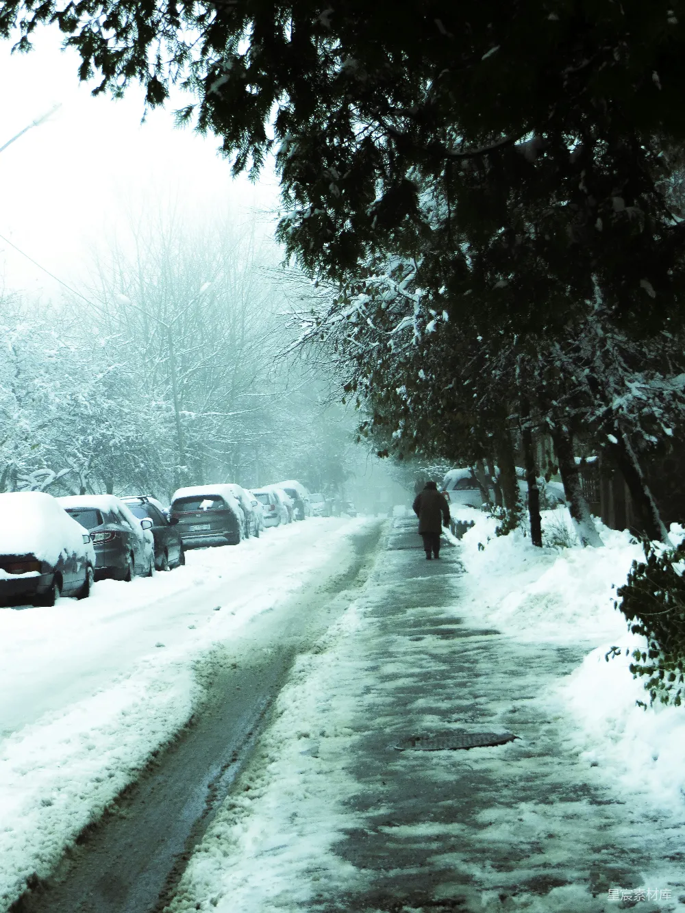 高清摄影 雪景 冬季 城市 宁静 雪地 冬日街道的宁静