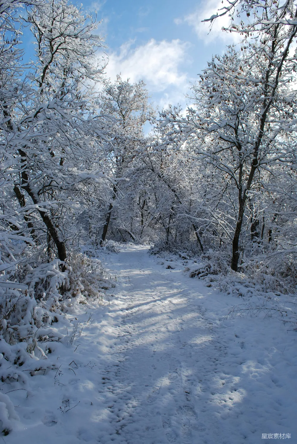 高清摄影 冬季 雪景 自然风光 户外 宁静 冬日雪路
