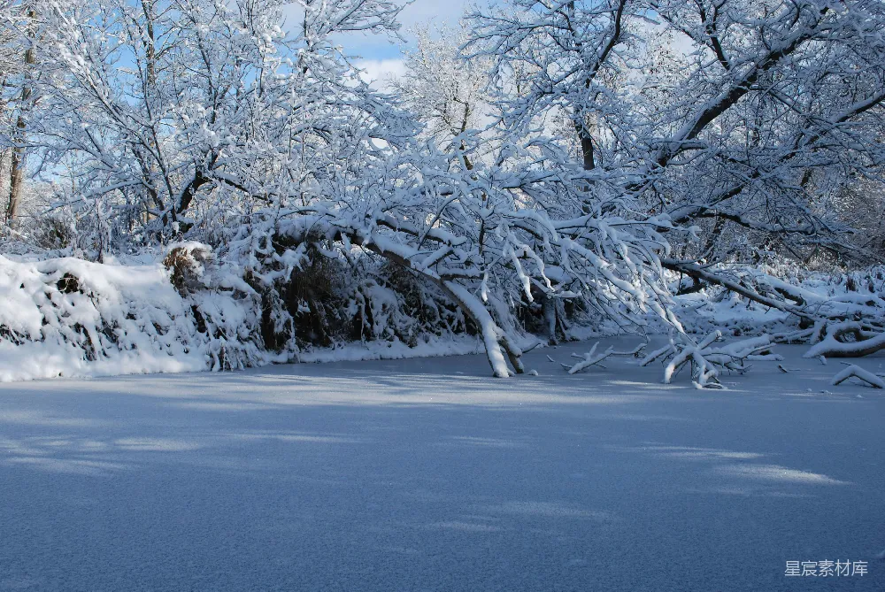 高清摄影 冬景 雪景 自然风光 宁静 冬季 冬日雪景下的静谧河流
