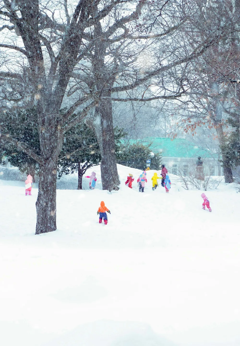 高清摄影 雪景 孩子们 冬季 户外活动 自然 雪中的孩子们