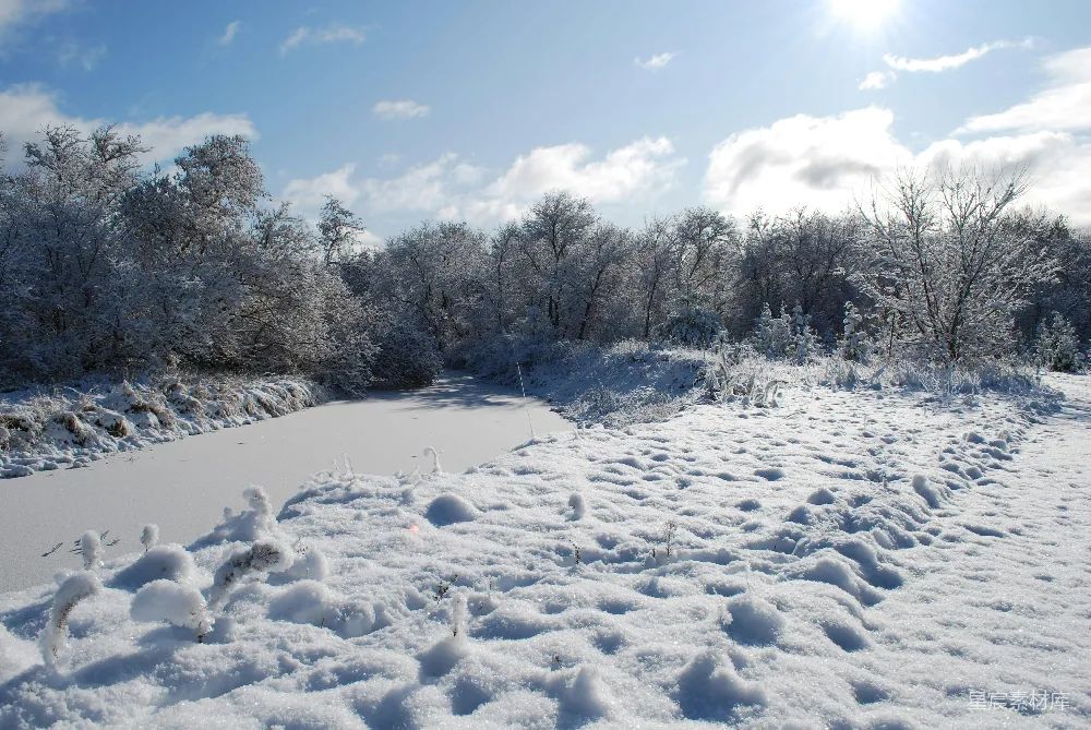 高清摄影 雪景 冬季 自然 宁静 户外 冬日雪景中的宁静小径