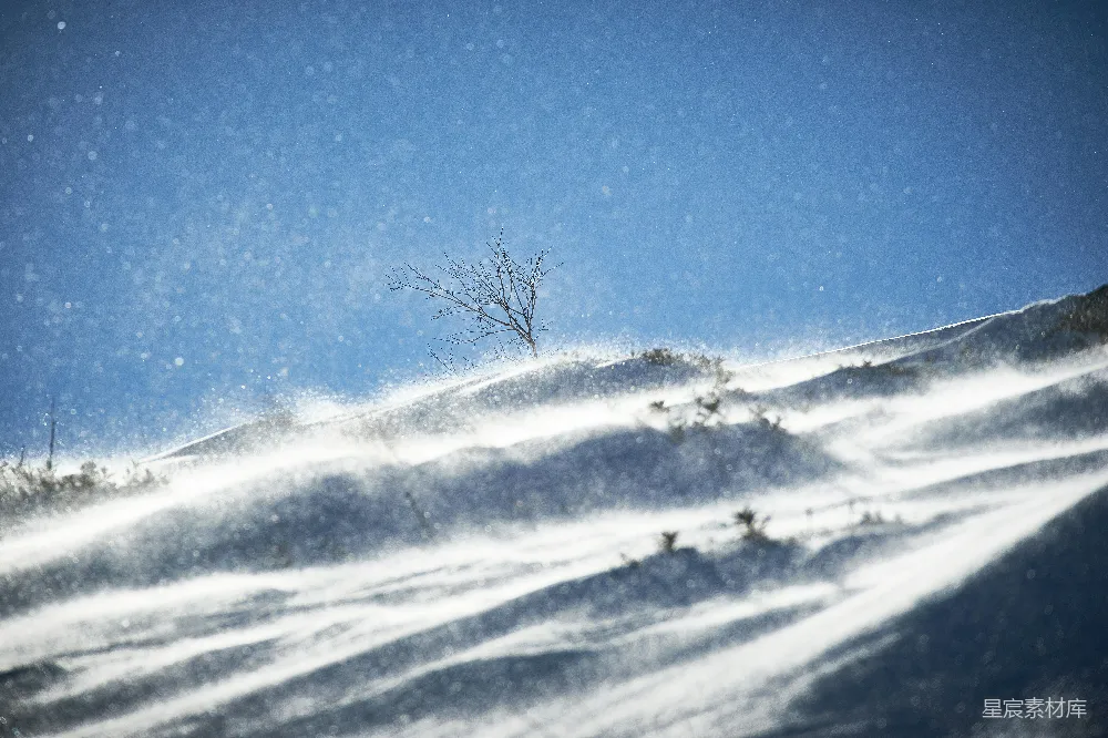 高清摄影 雪景 冬日 自然风光 宁静 冬日美景 冬日山丘上的雪舞