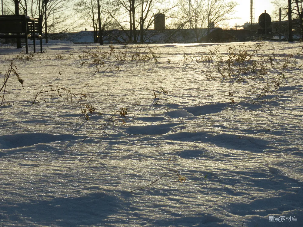 高清摄影 雪地 冬季 自然 阳光 户外 冬日暖阳下的雪地