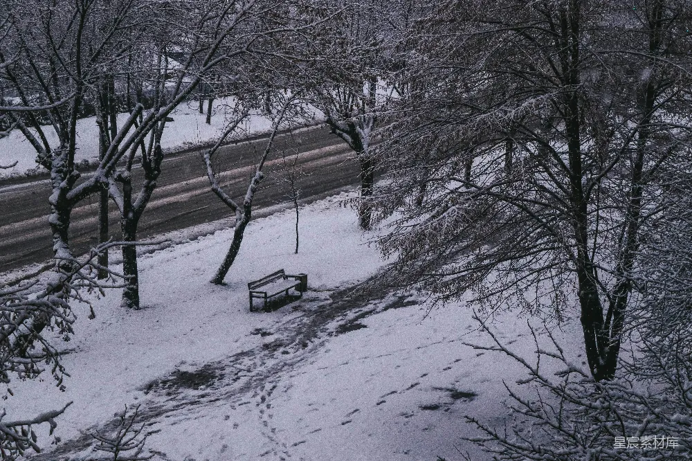 高清摄影 冬日 雪景 公园 静谧 自然 冬日雪景中的静谧公园