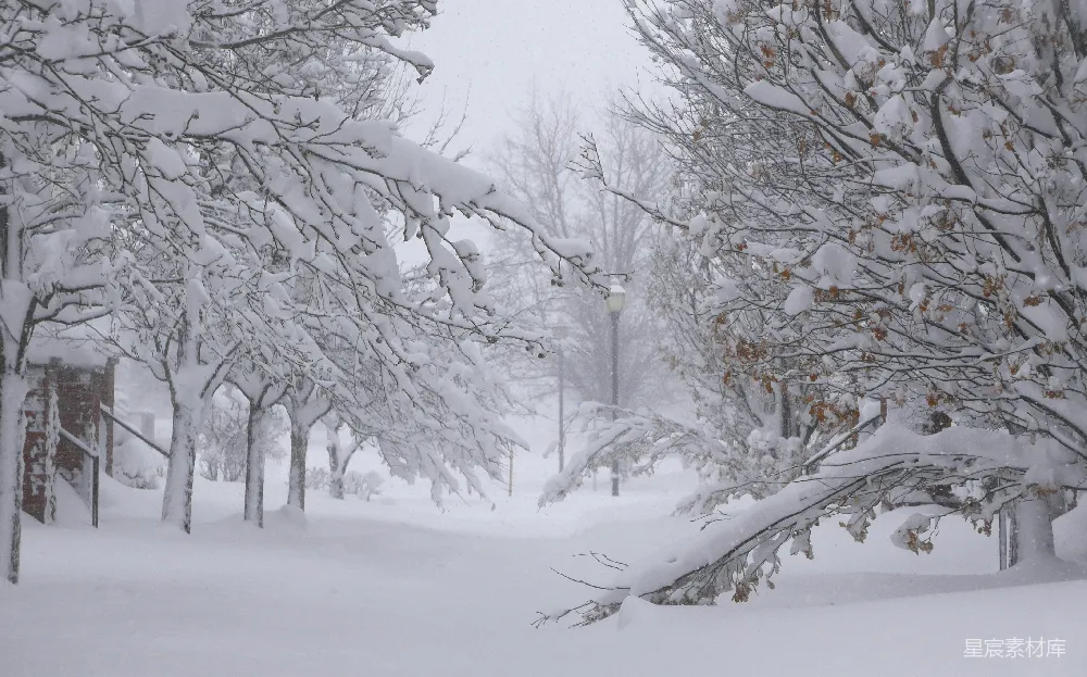 高清摄影 雪景 宁静 公园 冬季 自然 雪后宁静的公园
