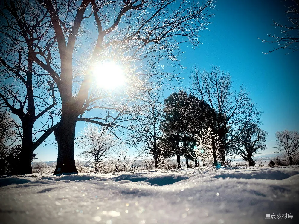 高清摄影 冬日 阳光 雪地 自然 宁静 冬日阳光下的雪地