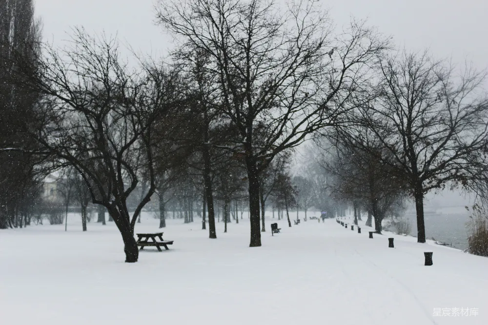 高清摄影 雪景 冬季 公园 自然 宁静 冬日雪景中的公园小径