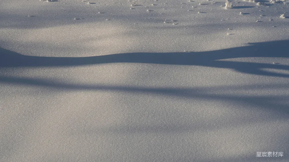 高清摄影 雪地 光影 冬日 自然 静谧 雪地上的光影