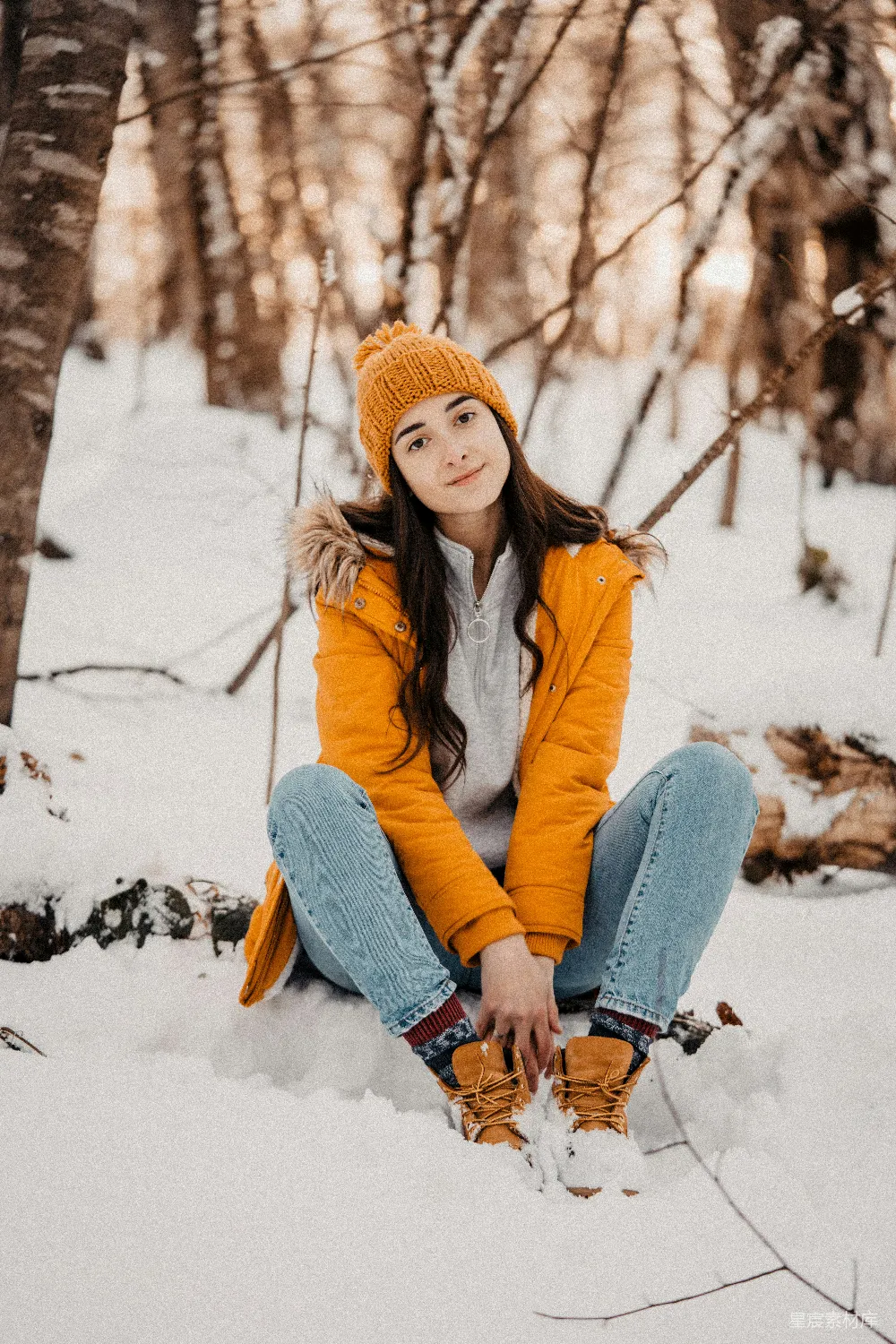 高清摄影 冬季 雪地 温暖 自然 户外 冬日雪地里的温暖时光