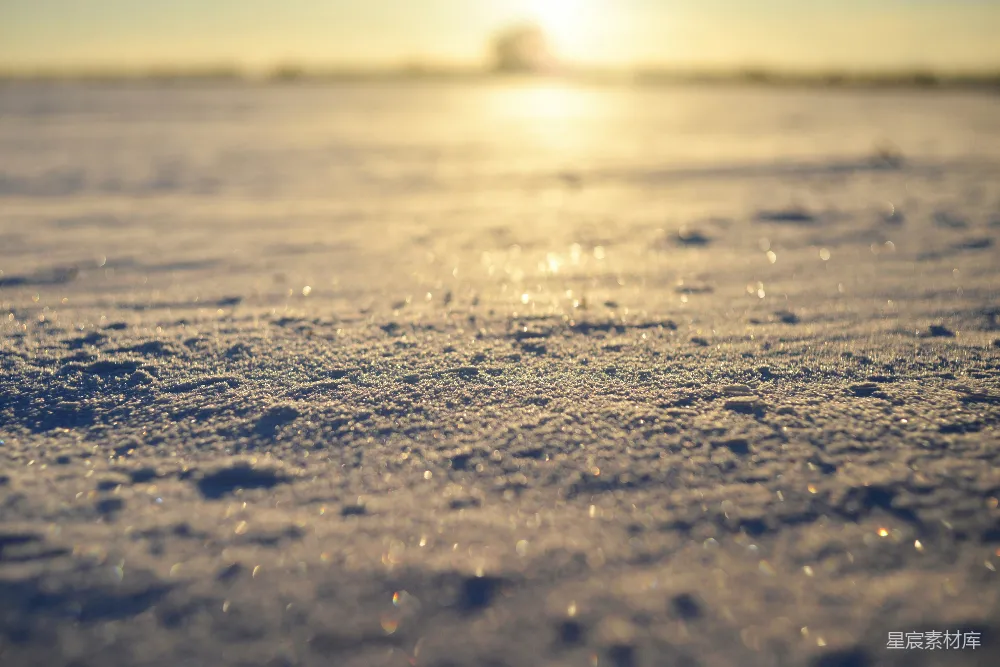 高清摄影 冬季 晨光 雪花 自然 纯净 冬日晨光下的雪花