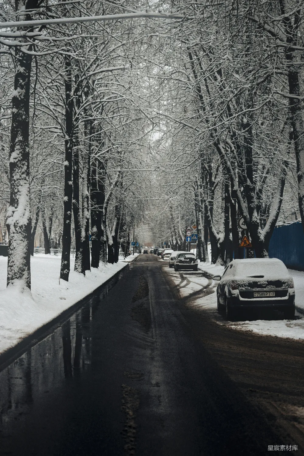 高清摄影 冬日 雪景 城市 街道 自然 冬日雪景中的城市街道