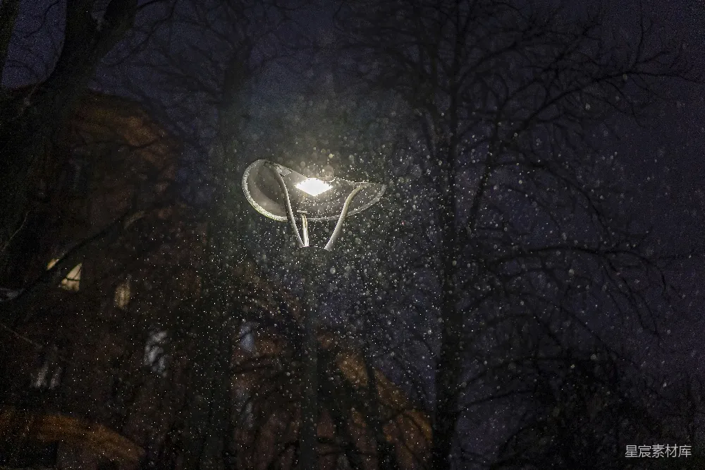 高清摄影 夜晚 路灯 雪景 自然 冬日 夜色中的路灯与飘雪
