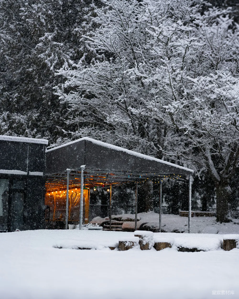 高清摄影 冬日 雪景 小屋 温馨 自然 雪中的温馨小屋