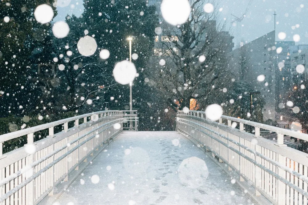 高清摄影 雪景 桥梁 冬日 城市风光 自然 冬日雪景中的桥梁