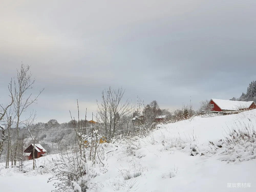 高清摄影 雪景 乡村 冬季 宁静 自然 冬日的乡村雪景