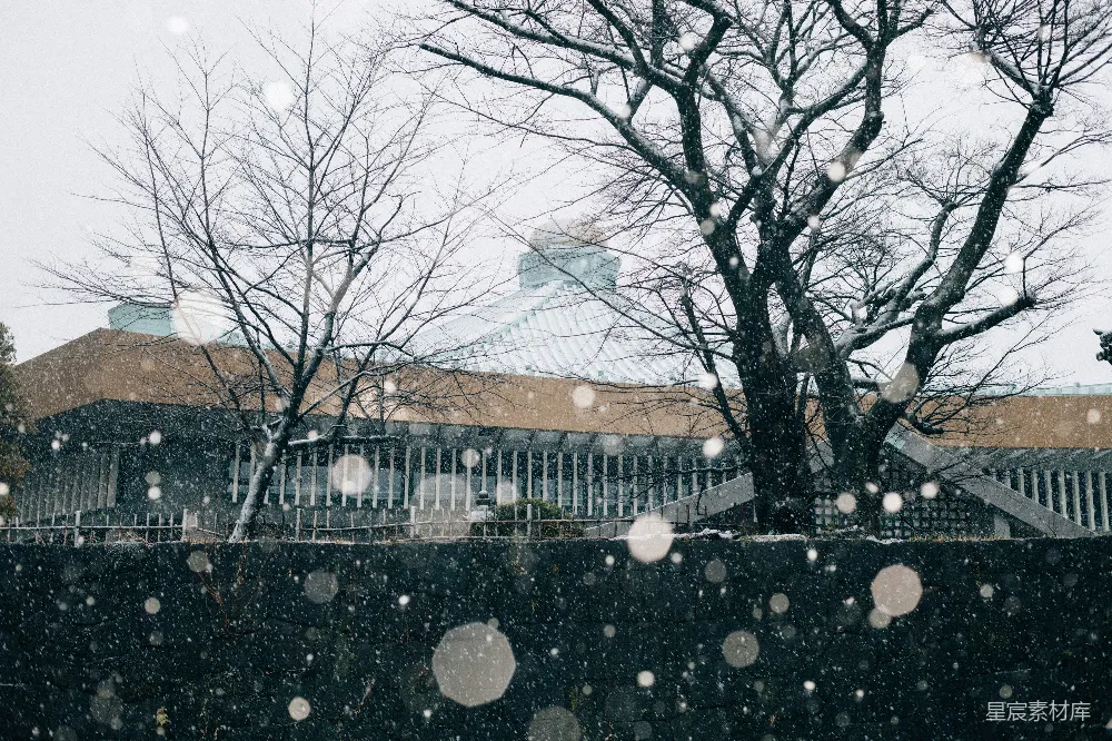 高清摄影 博物馆 雪景 冬季 建筑 静谧 冬日静谧的博物馆
