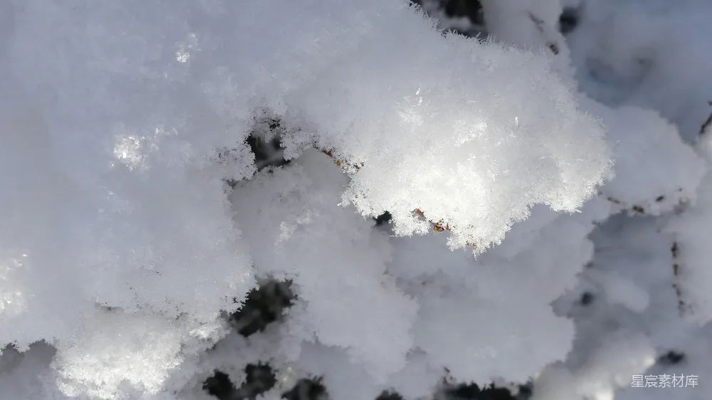 高清摄影 雪景 冰晶 冬季 自然风光 寒冷 冬日雪景中的冰晶