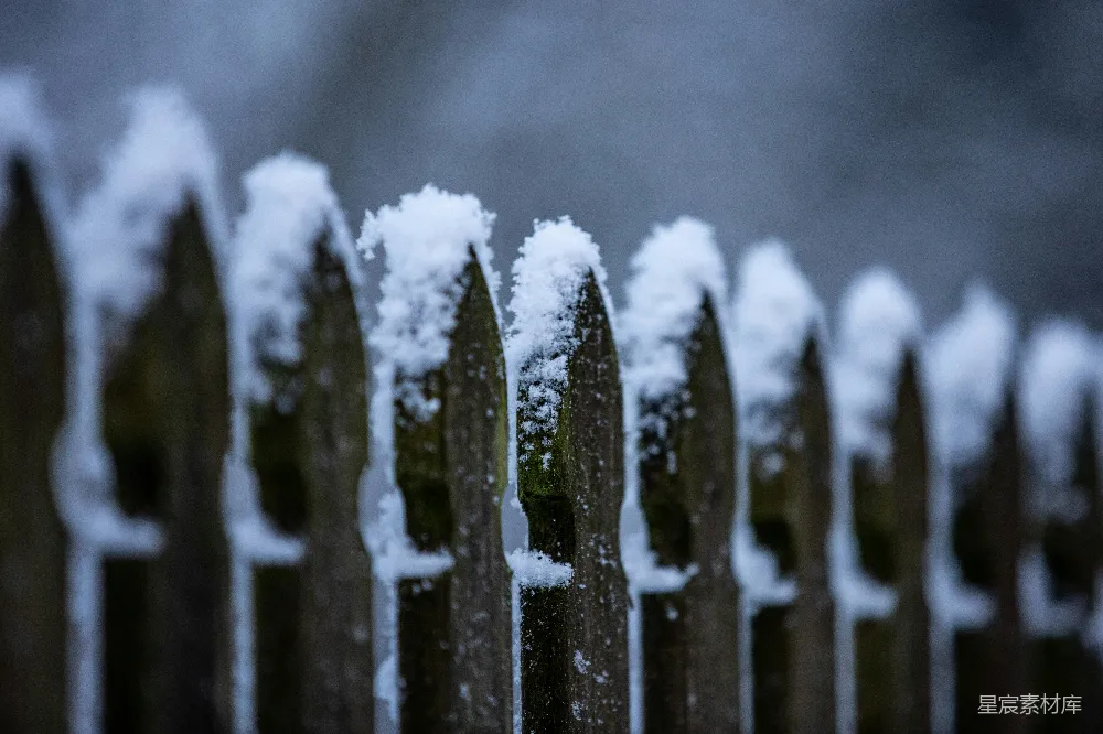 高清摄影 雪景 冬季 自然 户外 宁静 冬日雪景中的木栅栏