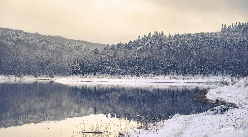 高清摄影 冬季 自然风光 湖景 雪景 宁静 冬日湖畔的宁静