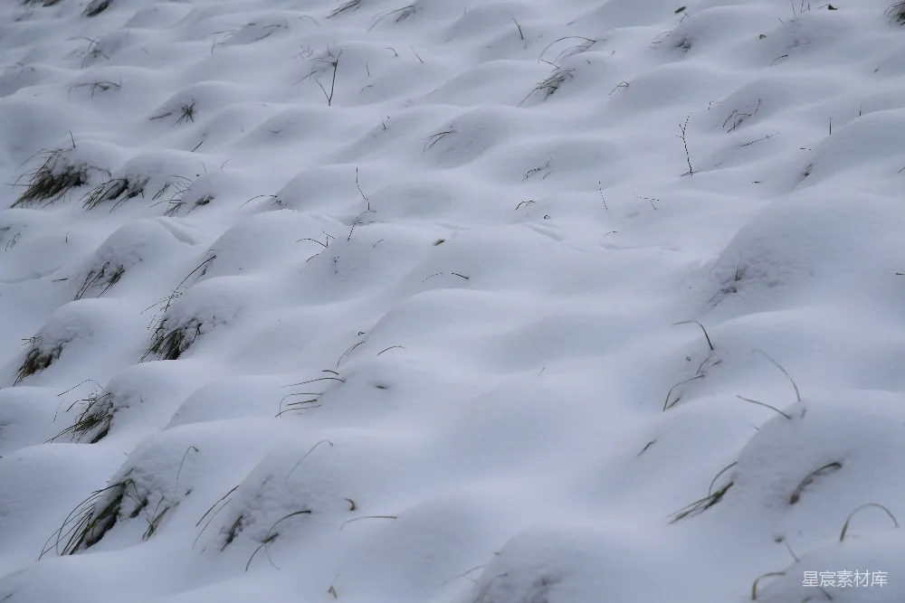 高清摄影 雪地 足迹 自然 宁静 冬季 雪地上的足迹