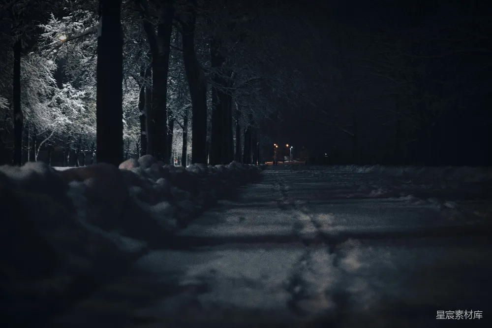 高清摄影 冬夜 雪地 小径 黑暗 自然 冬夜雪地小径