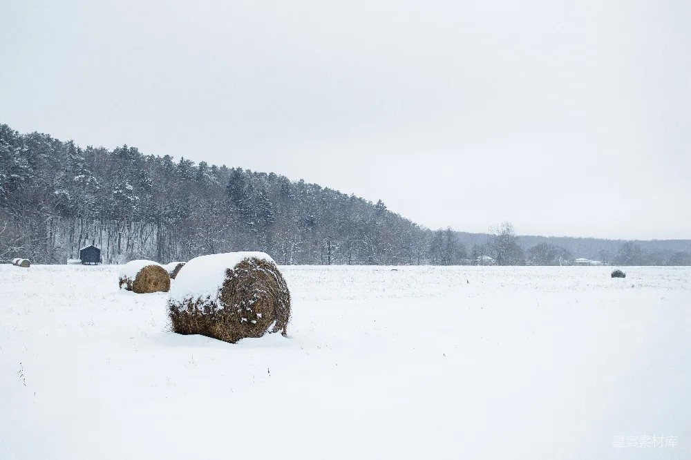 高清摄影 雪地 乡村 麦捆 冬季 自然 冬日雪地上的麦捆