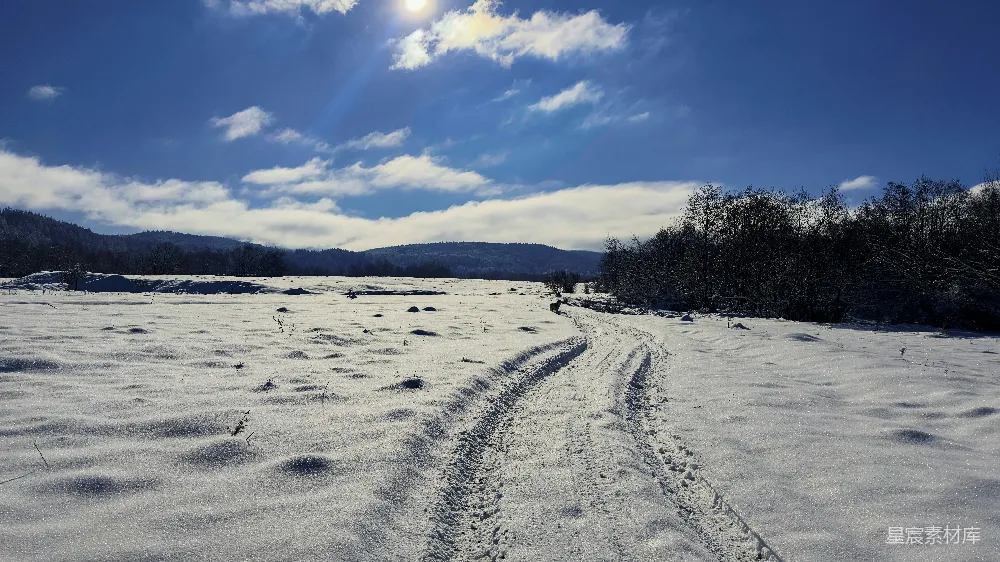 高清摄影 雪地 小径 冬季 自然风光 户外 冬日雪地小径