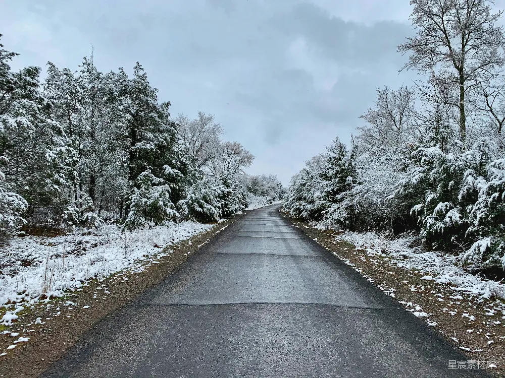 高清摄影 冬日 雪景 乡村 小路 自然 冬日雪景中的乡村小路