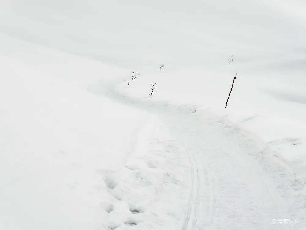 高清摄影 雪地 自然 痕迹 宁静 户外 雪地中的痕迹