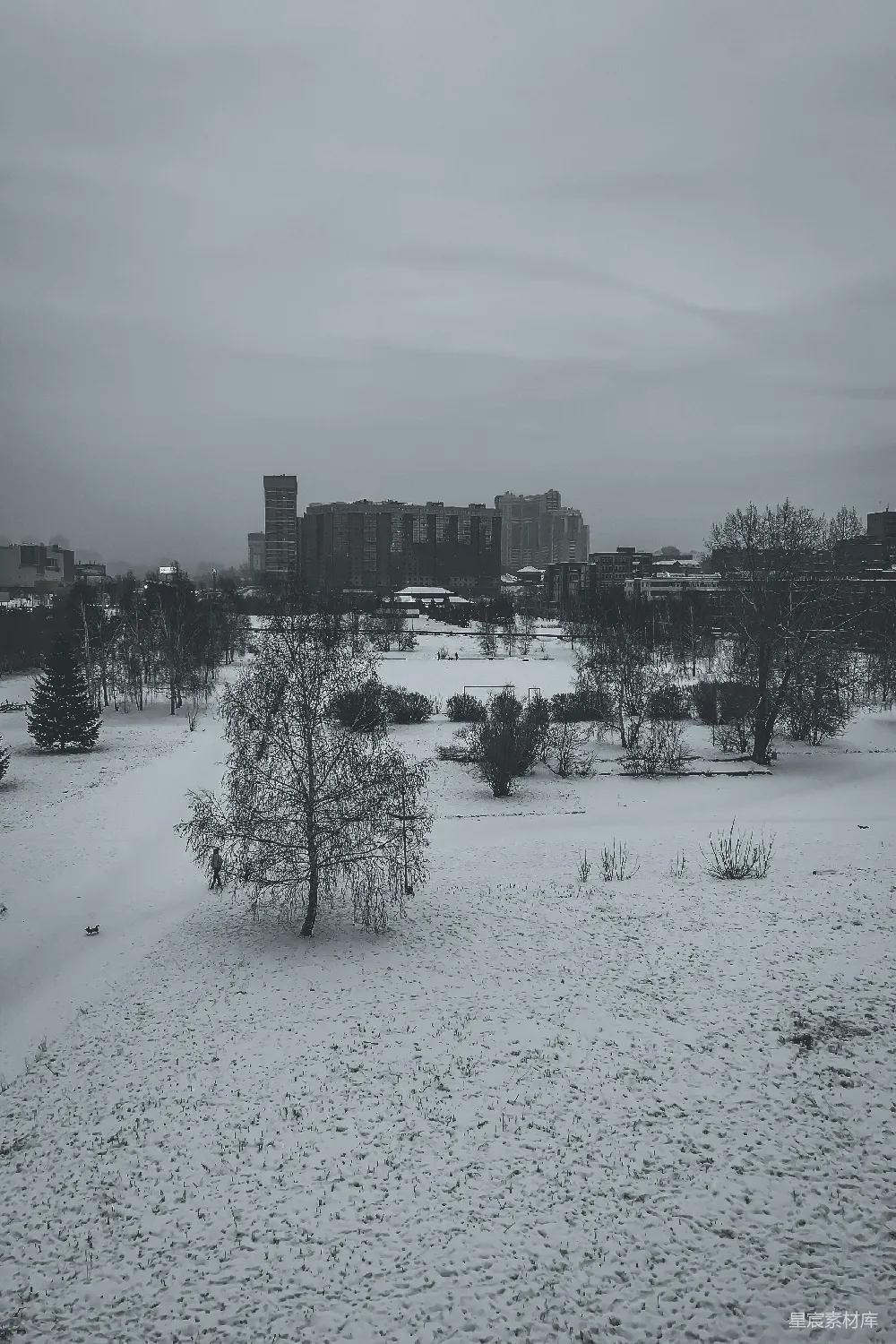 高清摄影 雪景 城市 孤独树 冬季 自然 冬日雪景中的城市与孤独树