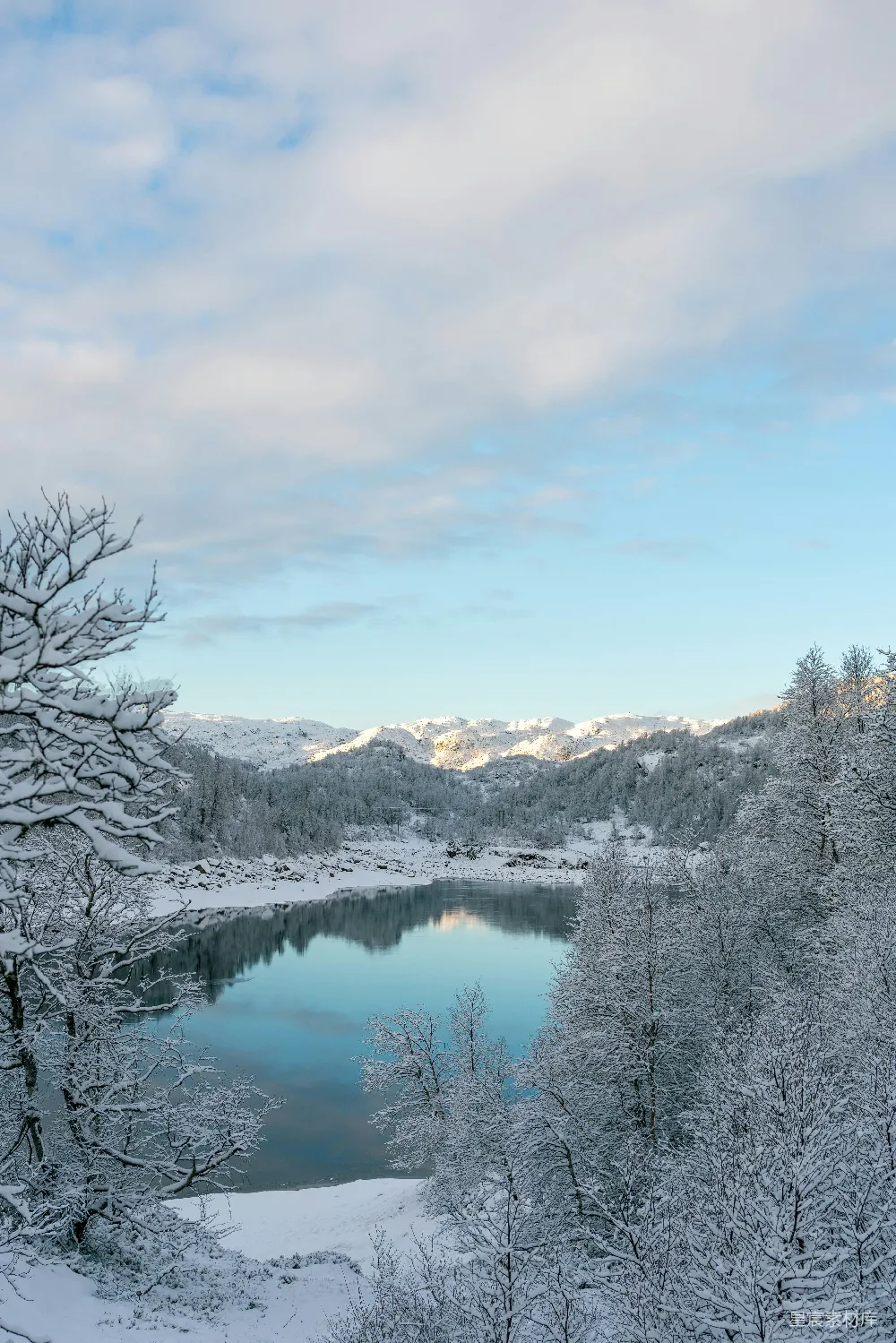 高清摄影 冬日 雪景 湖畔 自然风光 宁静 冬日雪景湖畔