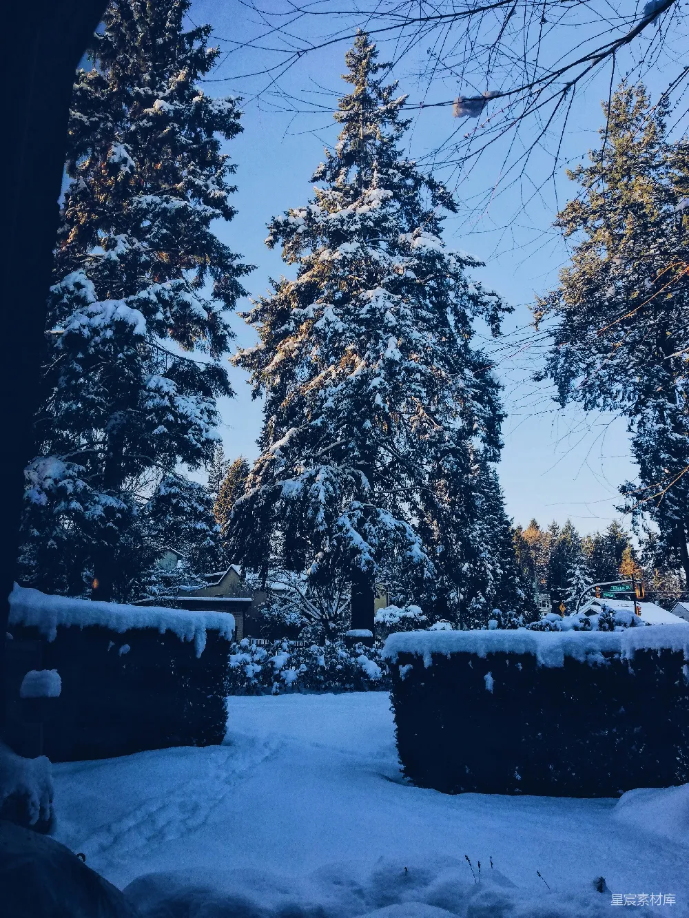 高清摄影 雪景 冬季 自然风光 户外 宁静 冬日雪景