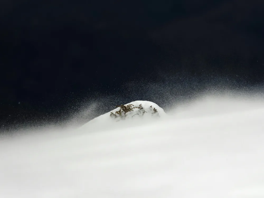 高清摄影 雪景 静谧 自然 冬日 寒冷 雪夜中的静谧角落