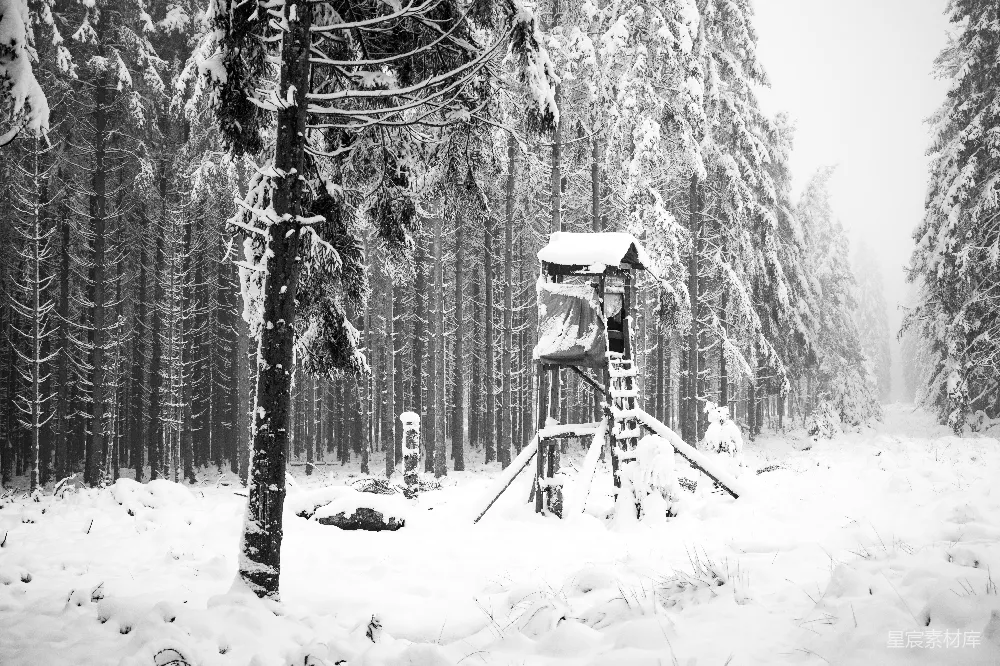 高清摄影 雪景 森林 猎人小屋 冬季 自然 冬日雪林中的猎人小屋
