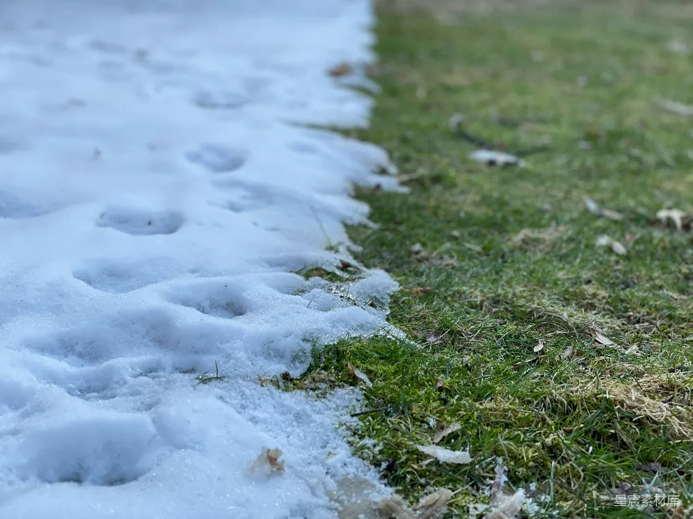 高清摄影 雪地 自然 草地 春天 户外 初春的雪地