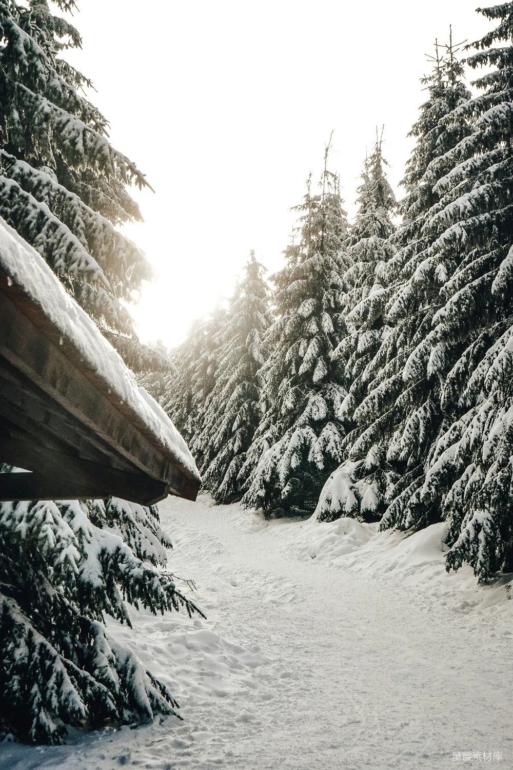 高清摄影 雪景 森林 自然 冬日 宁静 冬日森林小径