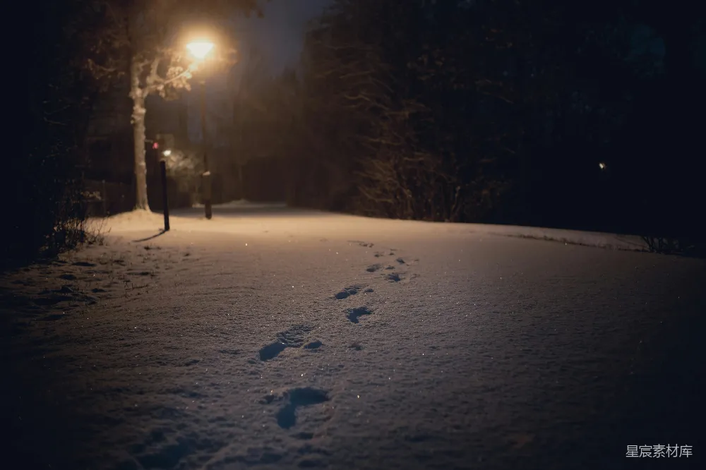 高清摄影 雪地 夜晚 灯光 足迹 宁静 冬夜雪地的足迹