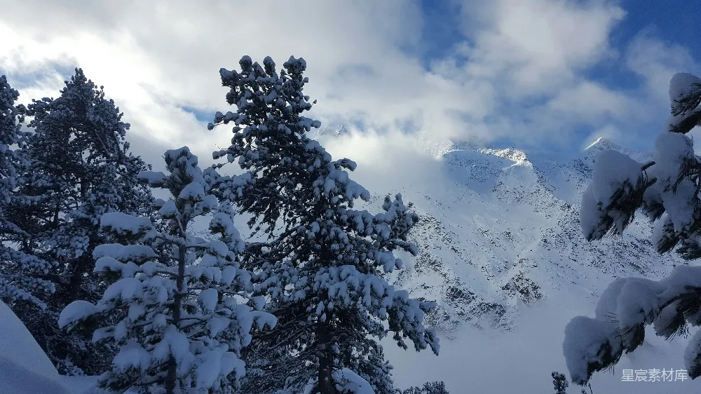 高清摄影 雪景 自然风光 冬日 山脉 宁静 冬日雪山下的松树