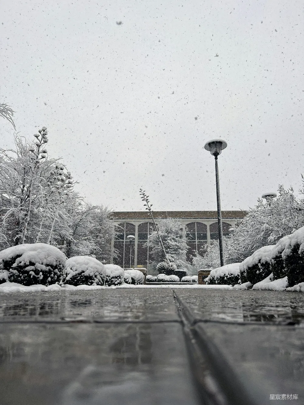 高清摄影 雪景 校园 冬季 宁静 自然 冬日校园雪景