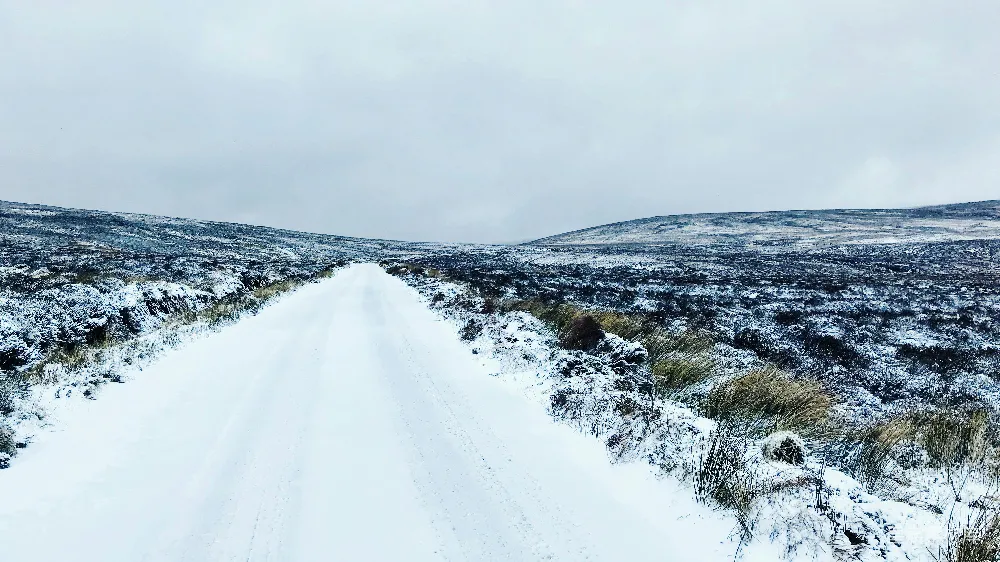 高清摄影 雪地 小路 冬季 自然风光 宁静 冬日雪地小径