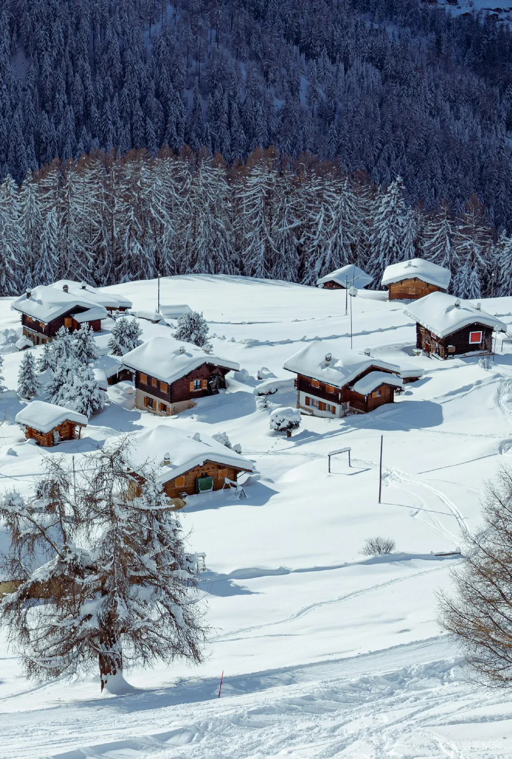 高清摄影 雪景 乡村 冬季 宁静 自然 冬日雪乡的宁静与美丽