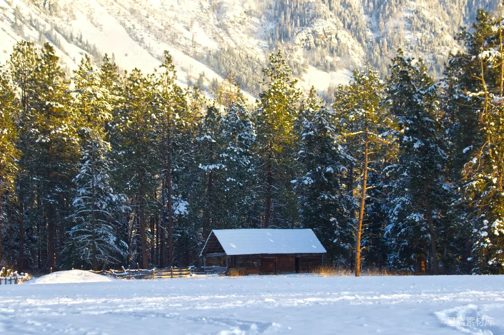 高清摄影 冬日 雪景 木屋 自然风光 宁静 冬日山间木屋