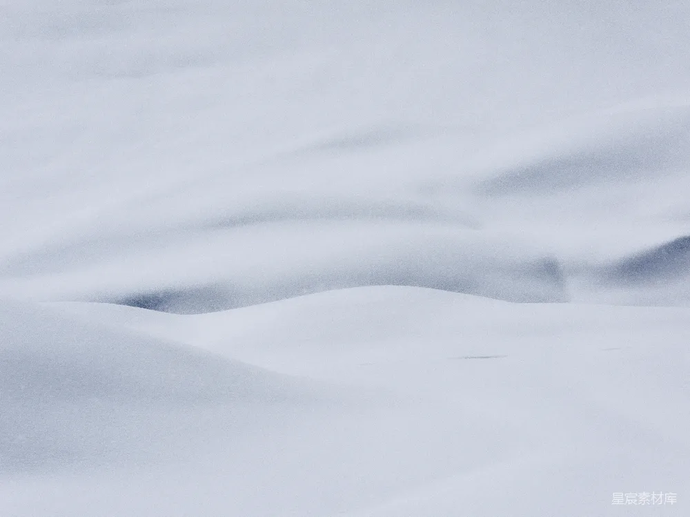 高清摄影 雪地 宁静 柔和 自然 冬季 雪地的宁静与柔和