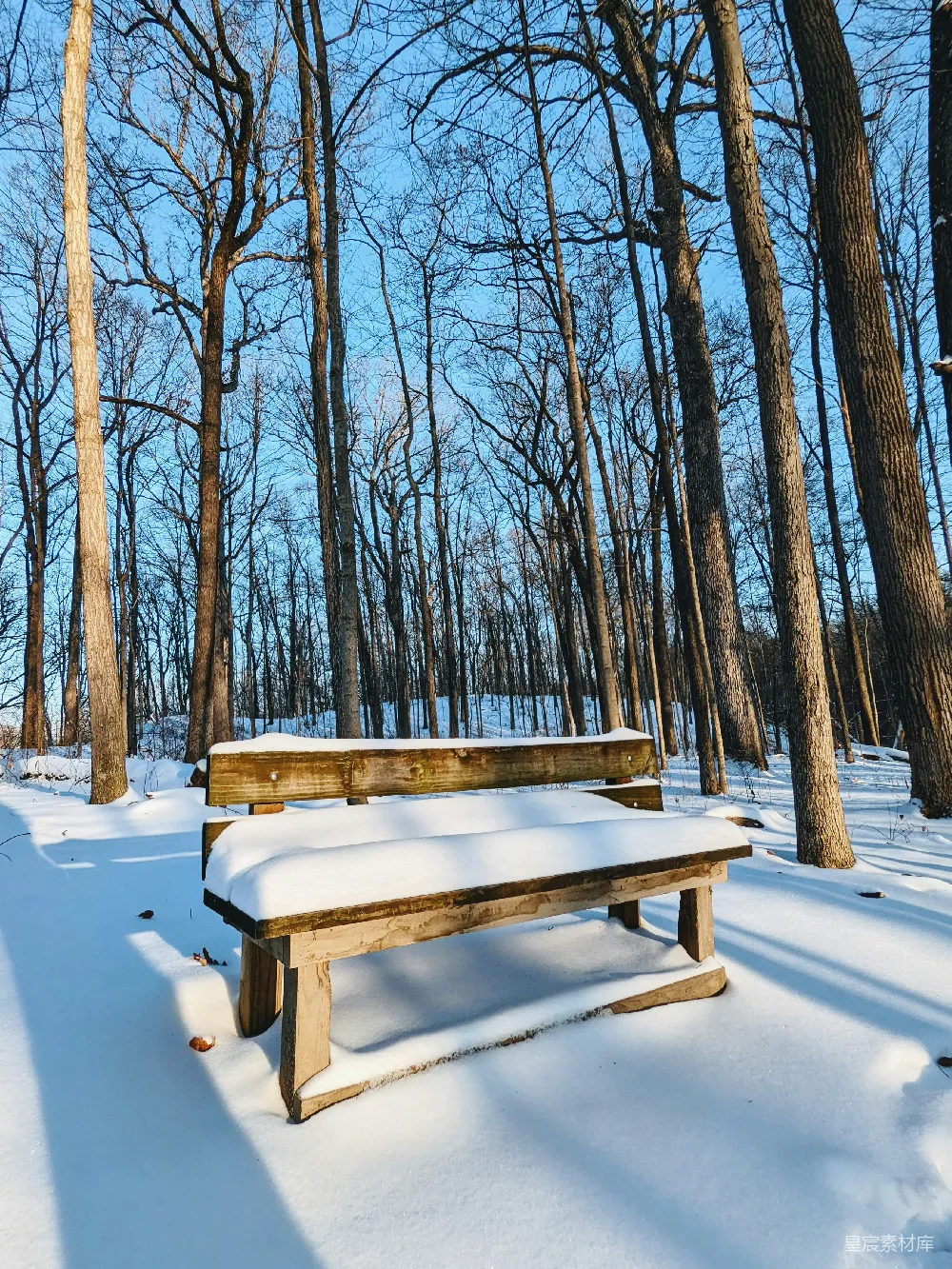 高清摄影 雪景 冬季 自然 户外 宁静 冬日雪景中的木椅