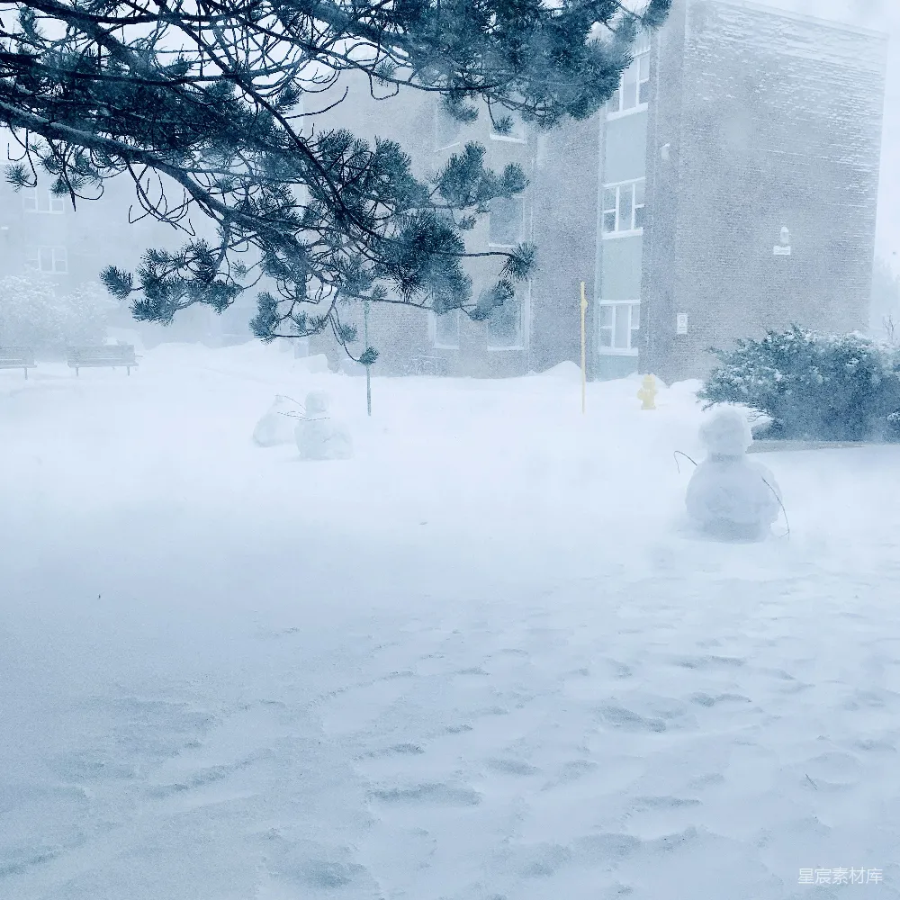 高清摄影 雪景 雪人 冬季 自然 户外 冬日雪景中的雪人